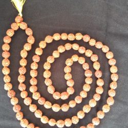 Rudraksha bead mala 8mm